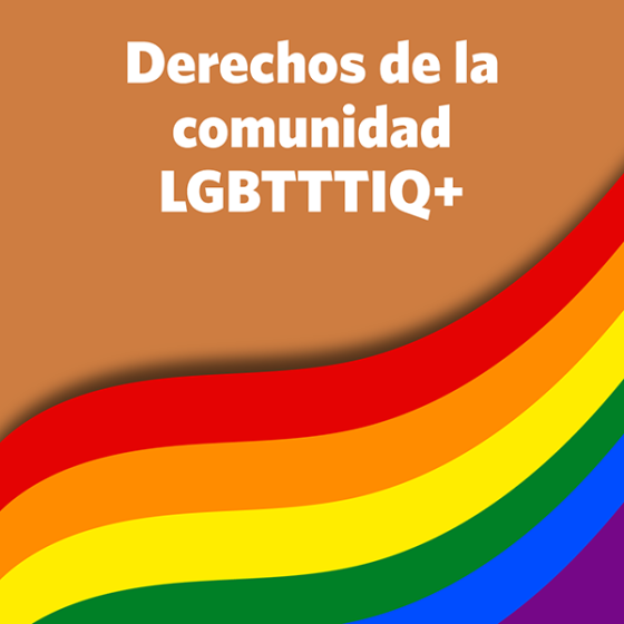 Derecho de las diversidades sexuales y de género Museo de las