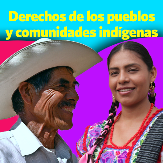 Derechos De Los Pueblos Y Las Comunidades Indígenas Y Afromexicanas Museo De Las Constituciones 9285